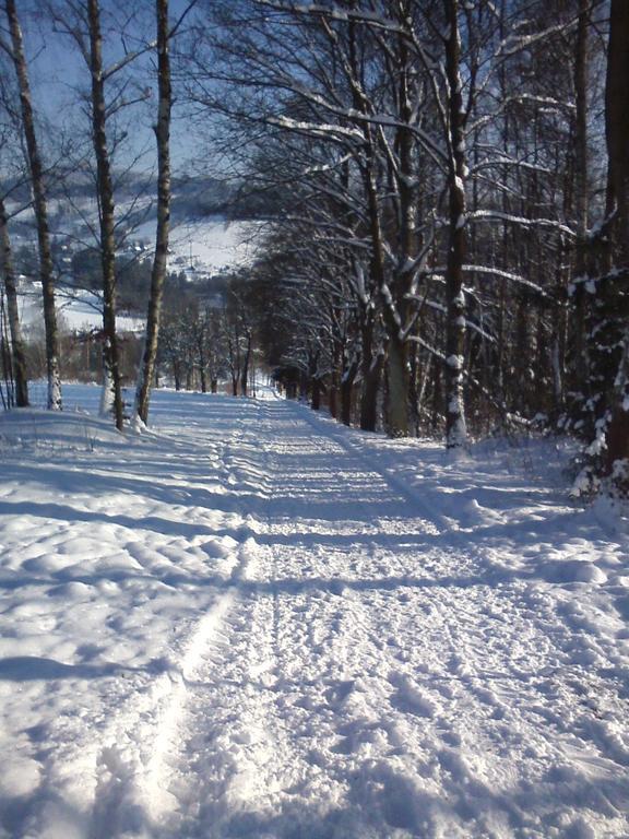 Privat Pohoda Paseky nad Jizerou Bagian luar foto