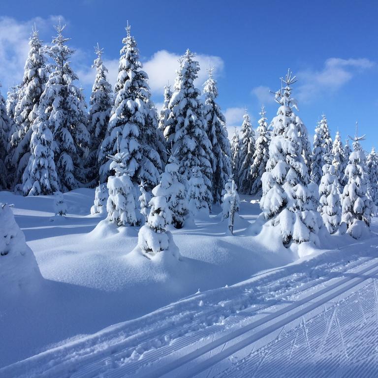 Privat Pohoda Paseky nad Jizerou Bagian luar foto