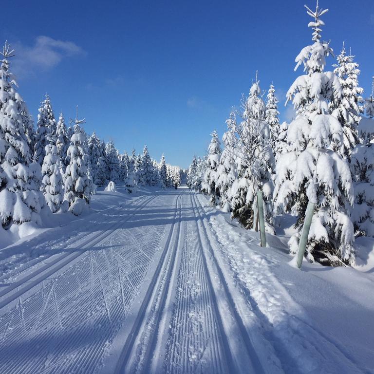 Privat Pohoda Paseky nad Jizerou Bagian luar foto