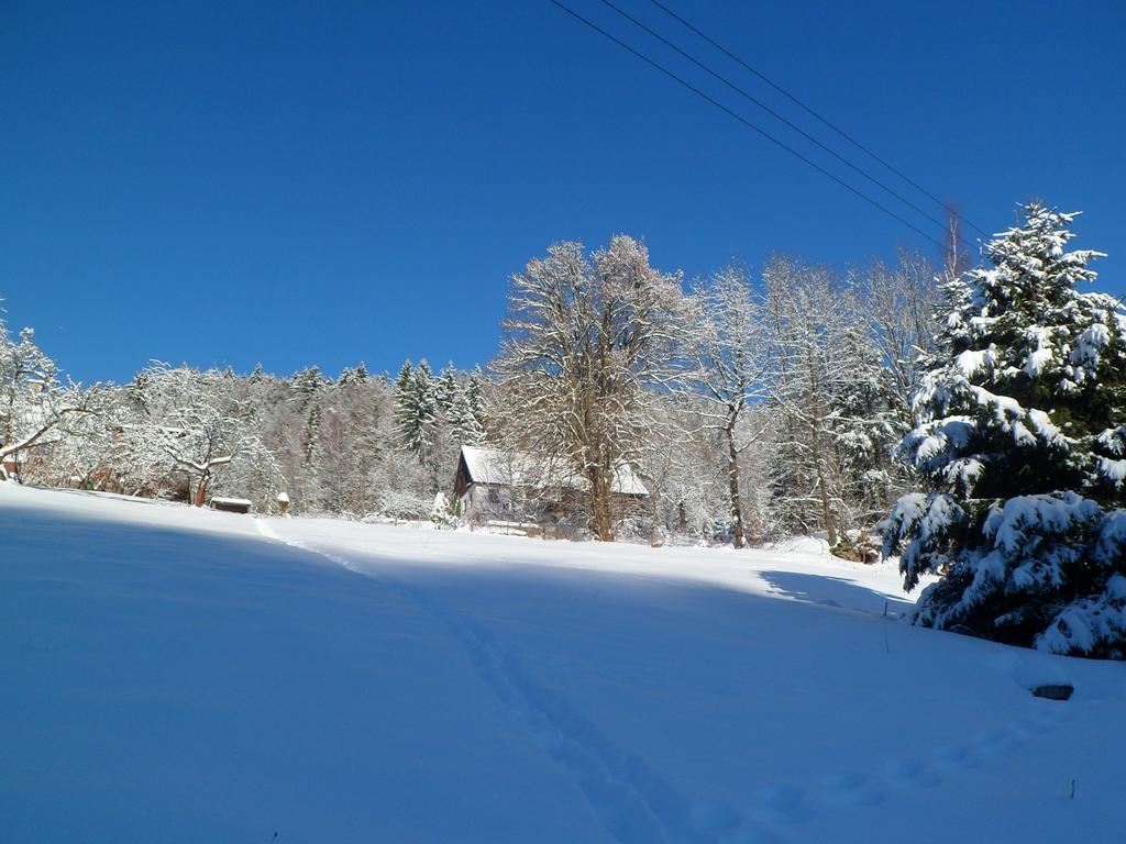 Privat Pohoda Paseky nad Jizerou Bagian luar foto